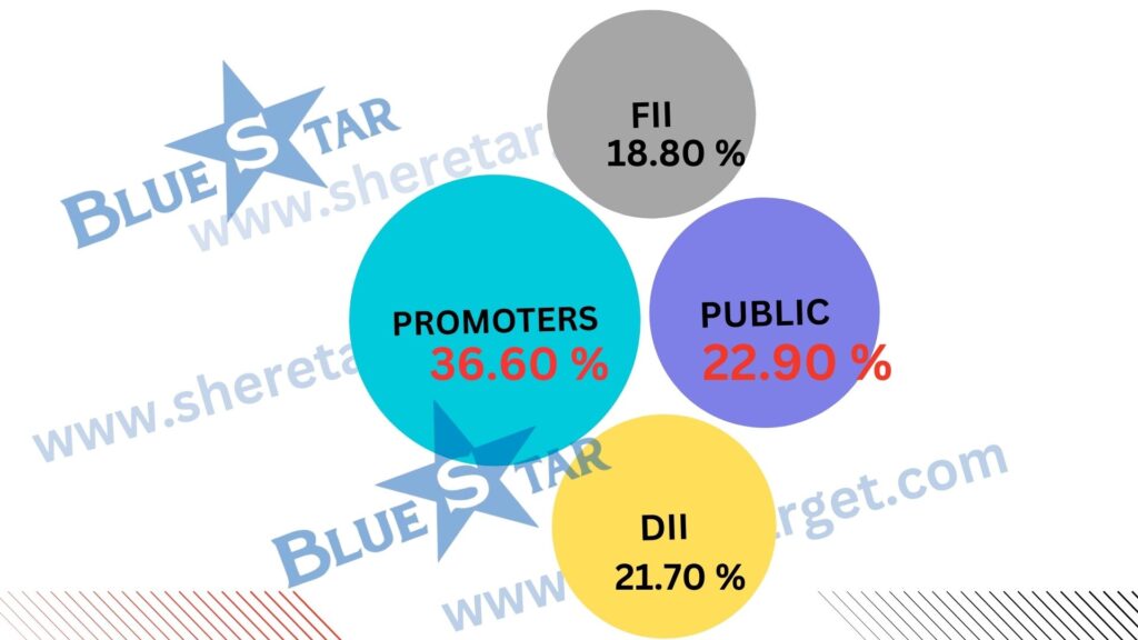 Blue Star Share Price Target 2027