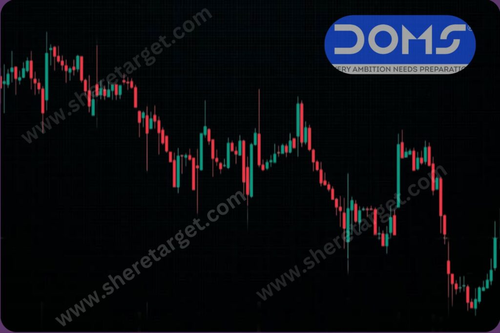 DOMS Share Price Target 2027