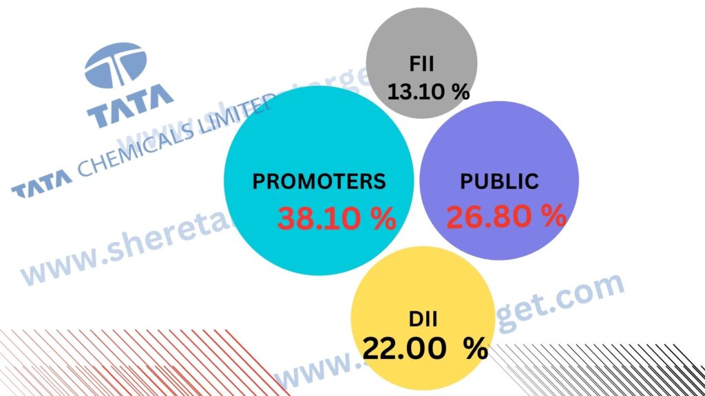 Tata Chemicals Share Price Target 2028